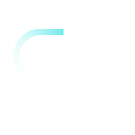 lane and load management icon